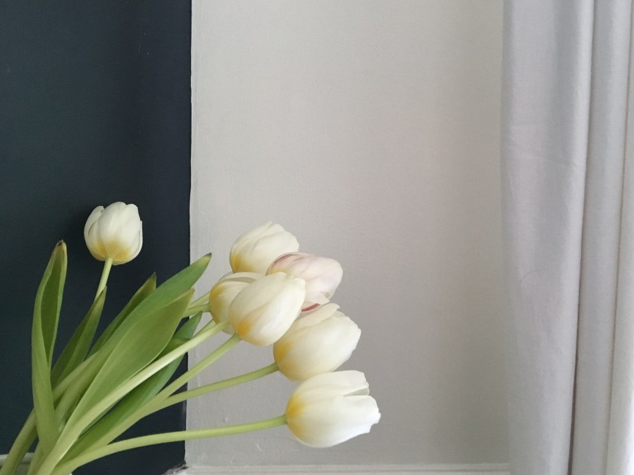 FullSizeRender 11.jpg